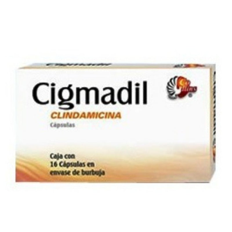 Clindamicina 300 Mg Con 16 Capsulas Cigmadil