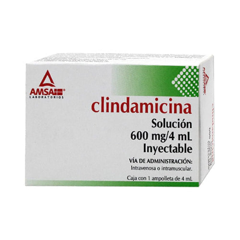 Clindamicina 600 Mg / 4 Ml 4 Ml 1 Ampulas Amsa