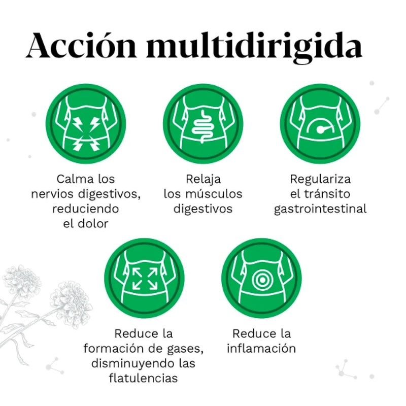 Iberogast Mezcla 9 Plantas 20 Ml Solución