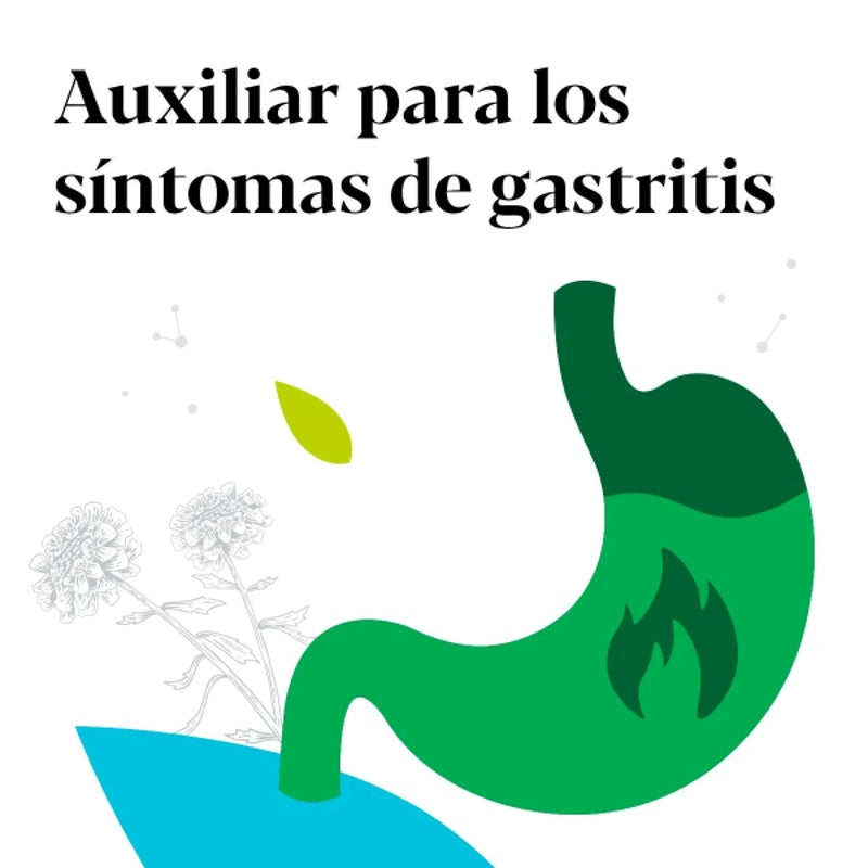 Iberogast Mezcla 9 Plantas 20 Ml Solución