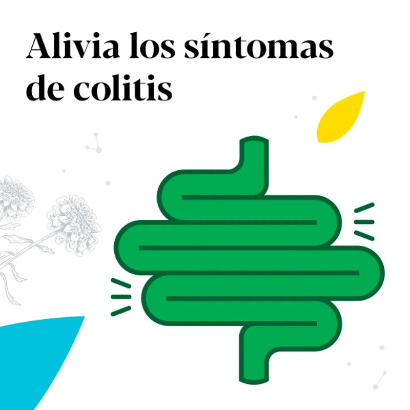 Iberogast Mezcla 9 Plantas 20 Ml Solución