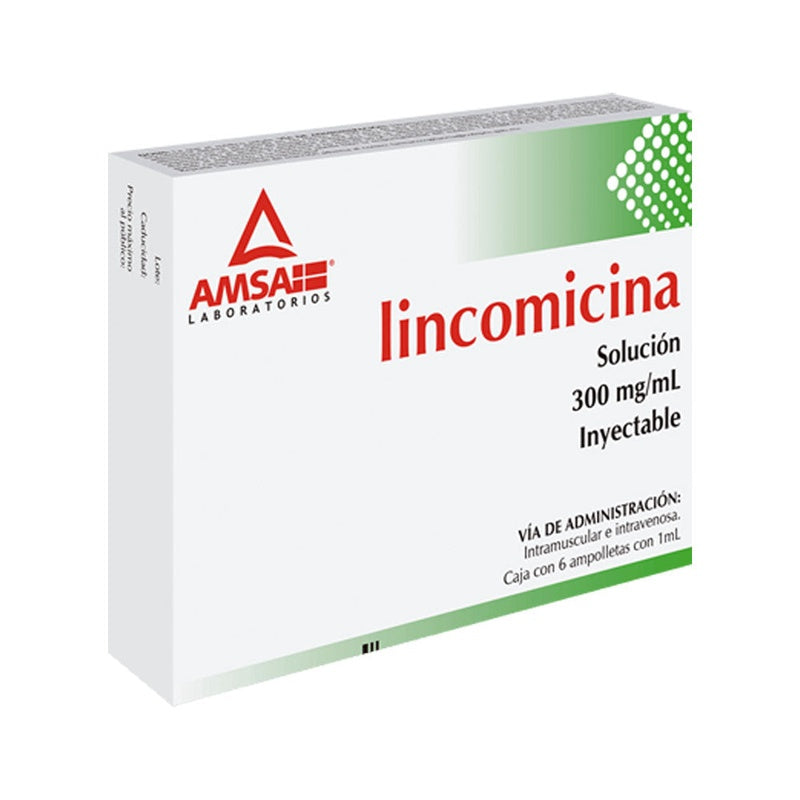 Lincomicina 300 Mg / 1 Ml 1 Ml 6 Ampulas Amsa 7501349020771