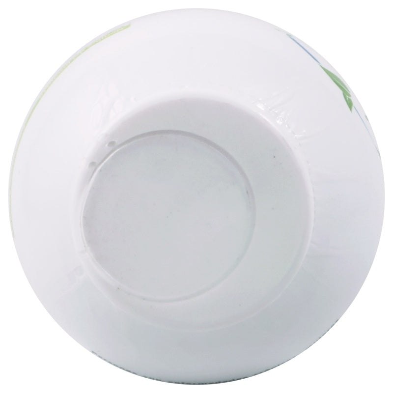 N Vidanat Suplemento Alimenticio Clorofila 500 Ml 7501060802861 perfil 6