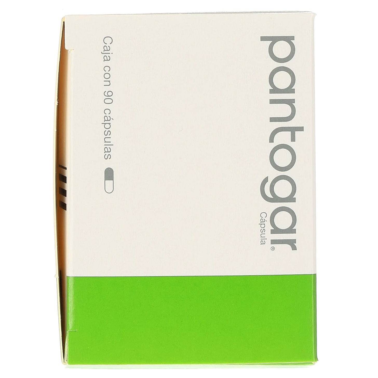 Pantogar Tabletas Caja Con 90 4046222740542