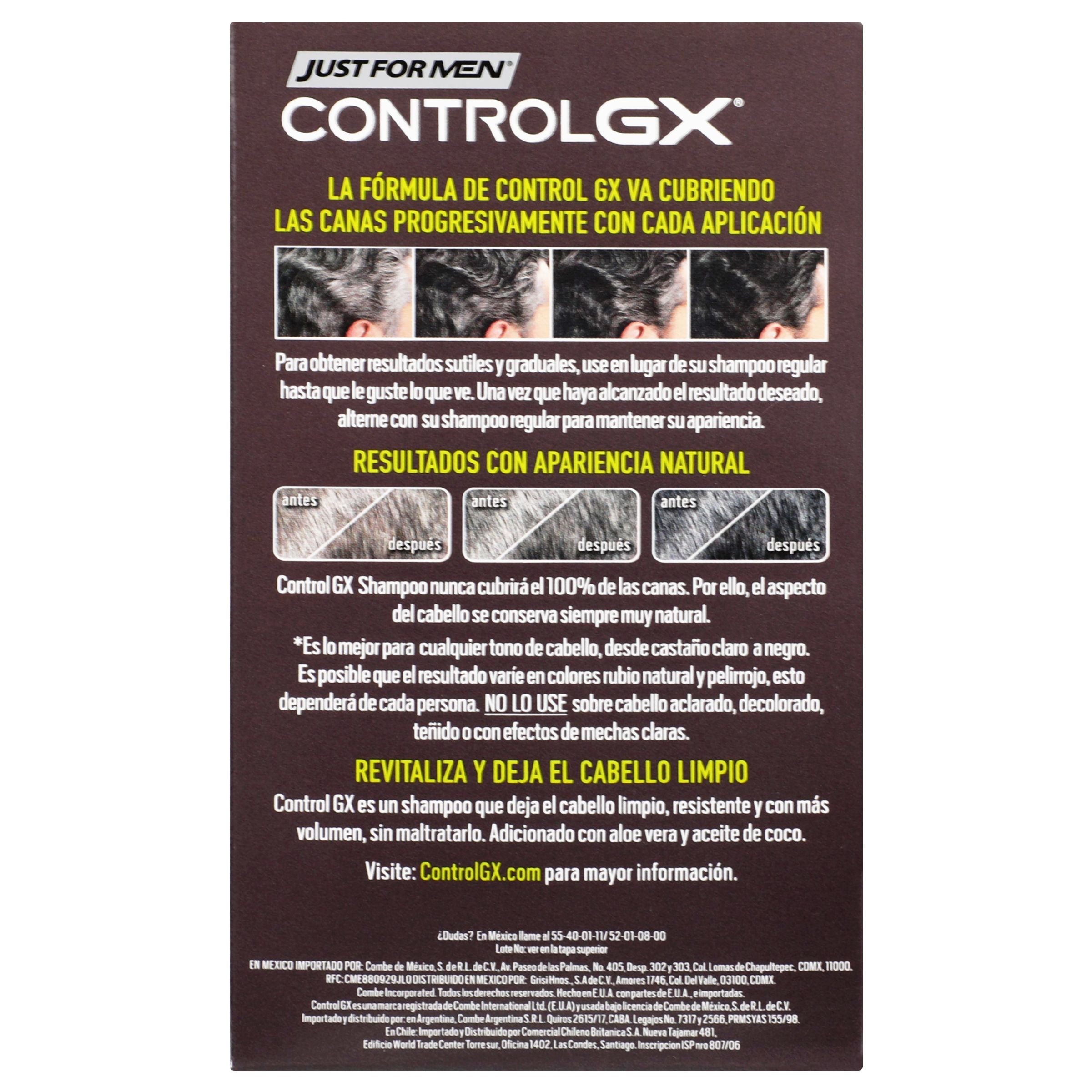 Shampoo Tintes F-Men Controlgx 118 Ml 7501080130098